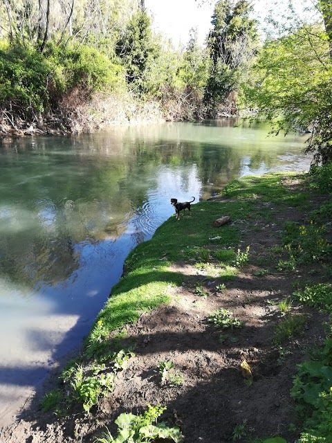 Natural Reserve of the Aniene Valley